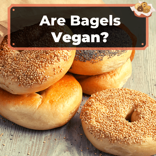 Are Bagels Vegan