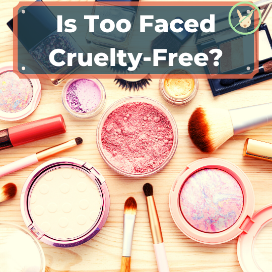Is Too Faced Cruelty-Free