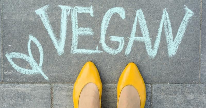 Vegan Shoes vs. Regular Shoes: What’s The Difference?
