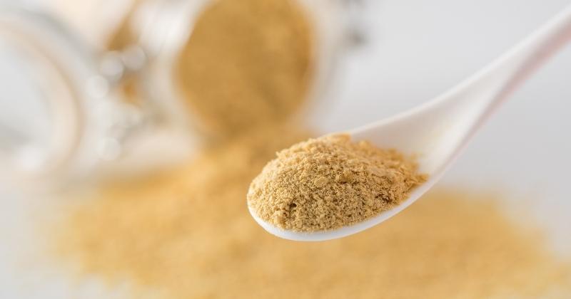 What Should I Look For In Nutritional Yeast?