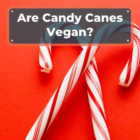 Are Candy Canes Vegan