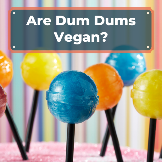 Are Dum Dums Vegan