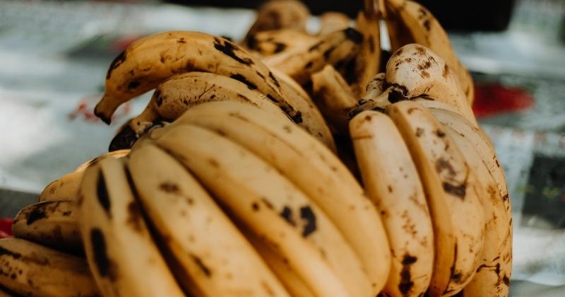 Why Bananas Turn Brown 