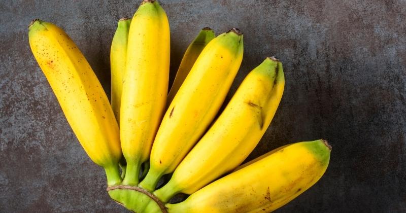 Are Bananas A Vegan-Friendly Fruit