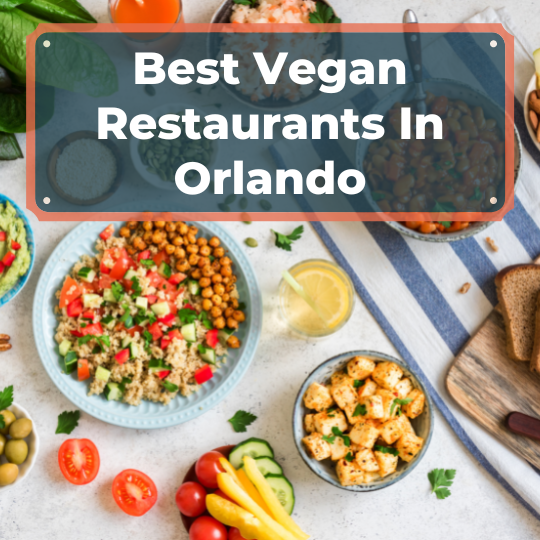 Best Vegan Restaurants In Orlando