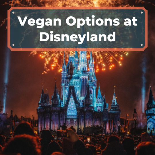 Vegan Options at Disneyland