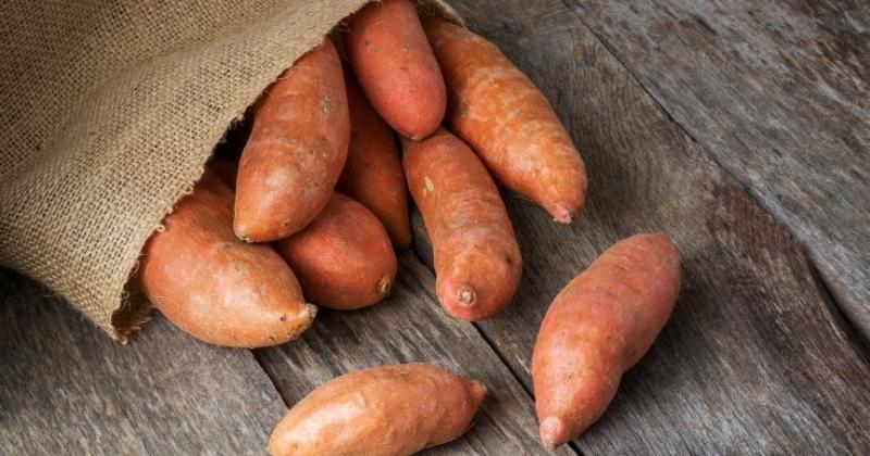 Are Sweet Potatoes Vegan