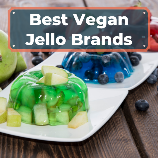 Best Vegan Jello Brands